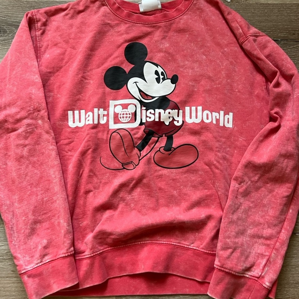 Walt Disney world sweatshirt